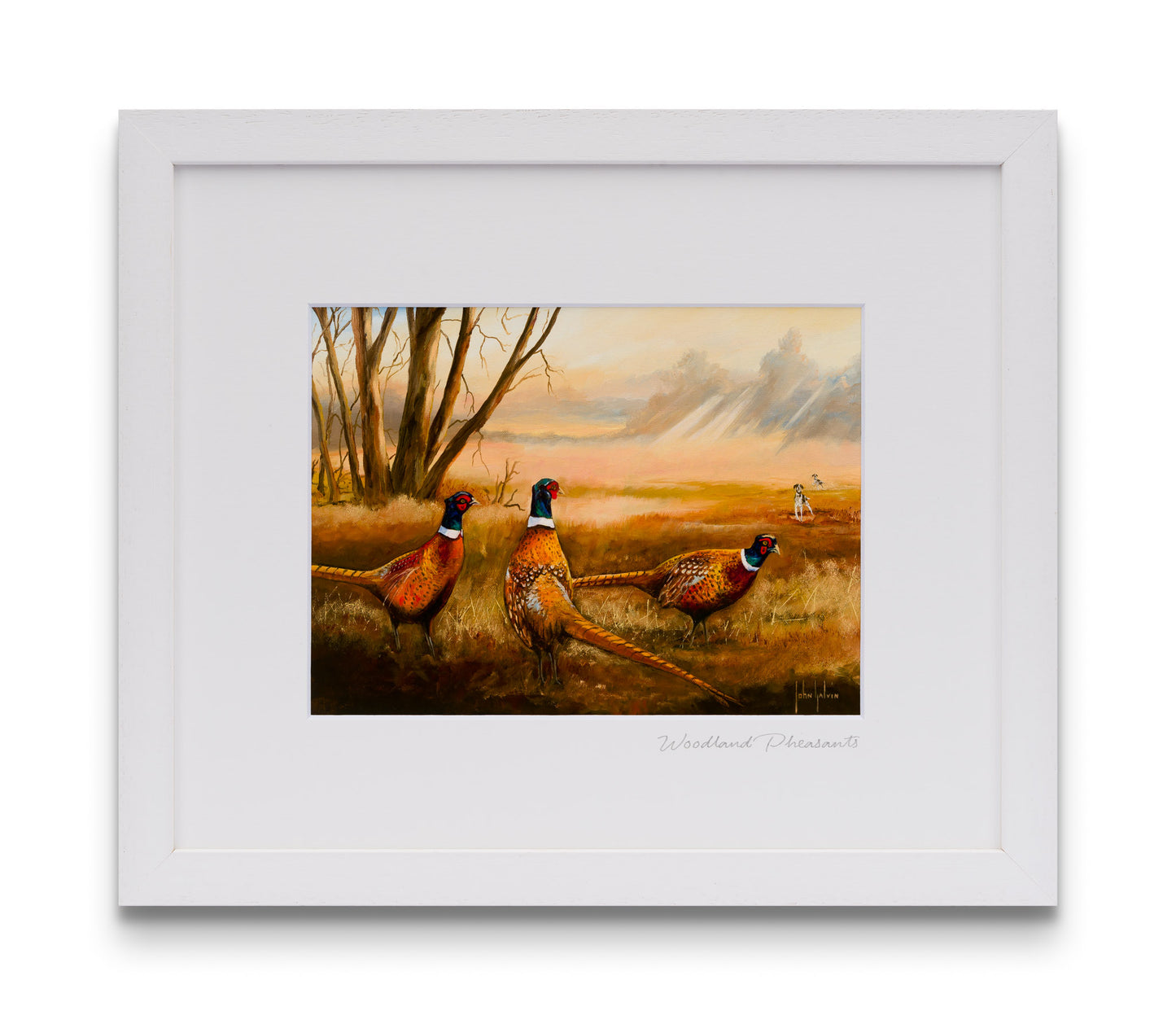 Woodland Pheasants