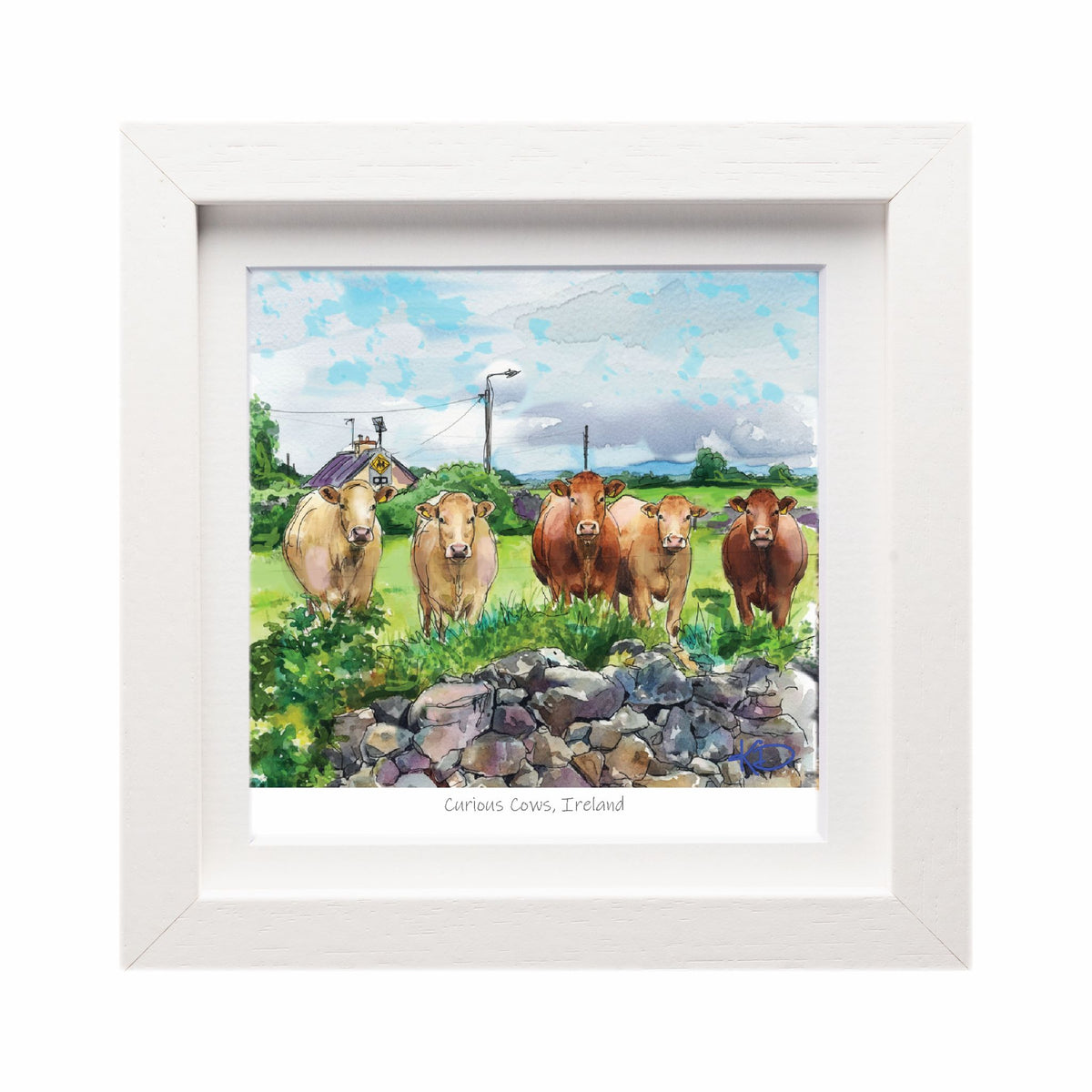 Curious Cows, Ireland