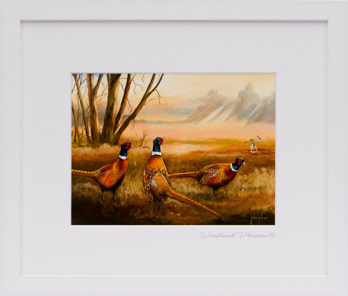 Woodland Pheasants